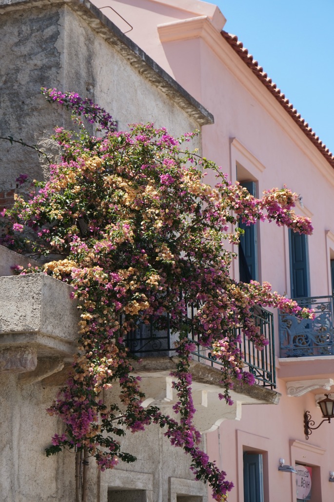 Postcards from Kithira - Bougainvellia Milopotamos