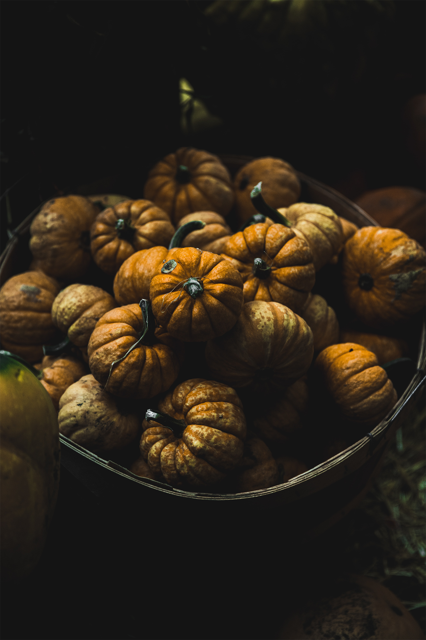 November Goals - Pumpkins